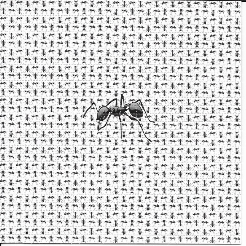 Formigas, animales psicodélico - Ink Blotter Paper reseña y precio